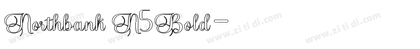 Northbank N5Bold字体转换
